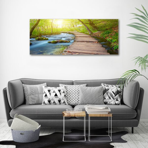 Foto obraz canvas Stezka v lese oc-63778873