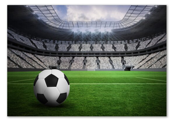 Fotoobraz na skle Míč na stadioně osh-63931532