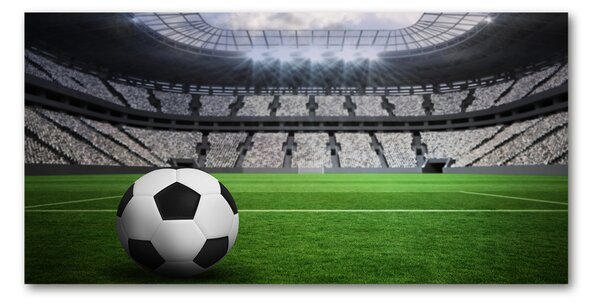 Fotoobraz na skle Míč na stadioně osh-63931532