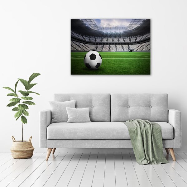 Foto obraz na plátně Míč na stadioně oc-63931532