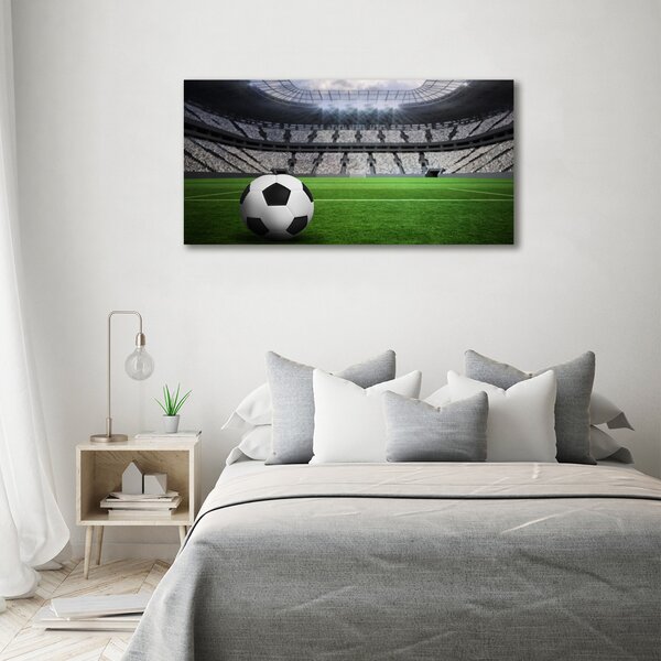 Foto obraz na plátně Míč na stadioně oc-63931532
