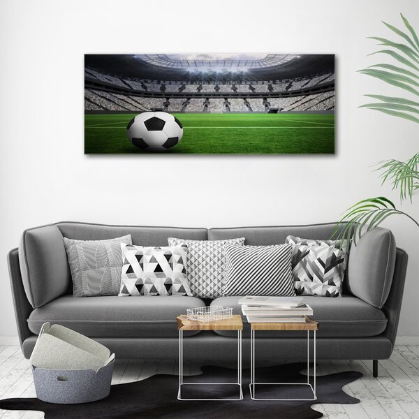 Foto obraz na plátně Míč na stadioně oc-63931532