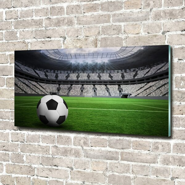 Fotoobraz na skle Míč na stadioně osh-63931532