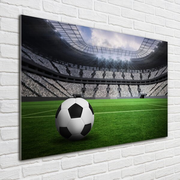 Fotoobraz na skle Míč na stadioně osh-63931532