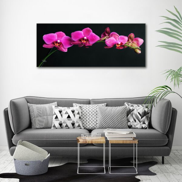 Foto obraz na plátně Orchidej oc-64284743