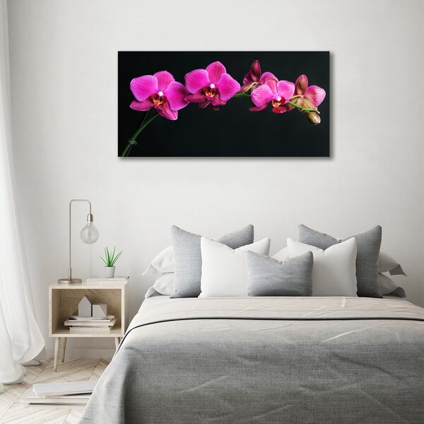 Foto obraz na plátně Orchidej oc-64284743
