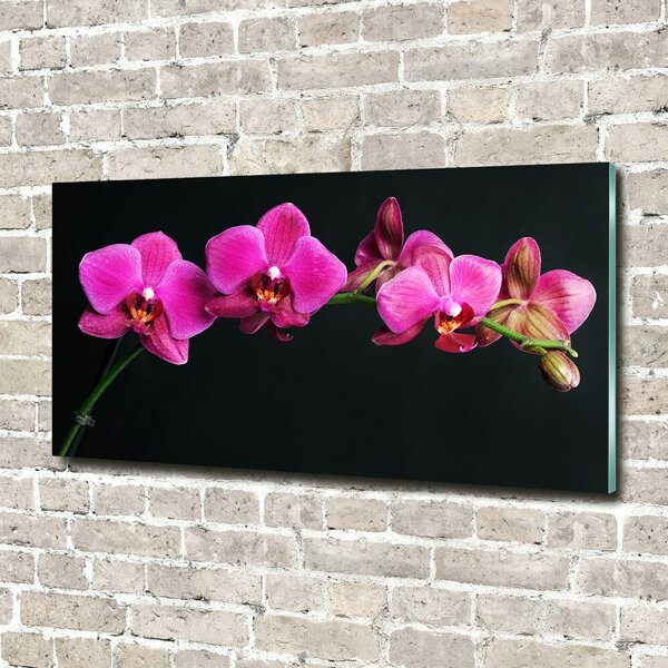 Fotoobraz na skle Orchidej osh-64284743