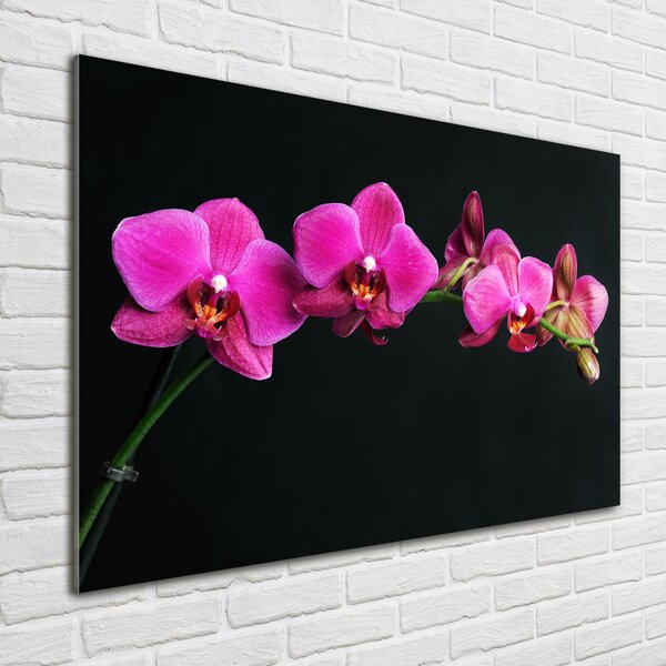 Fotoobraz na skle Orchidej osh-64284743