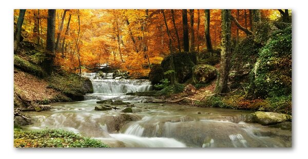 Foto obraz fotografie na skle Vodopád v lese osh-64421594