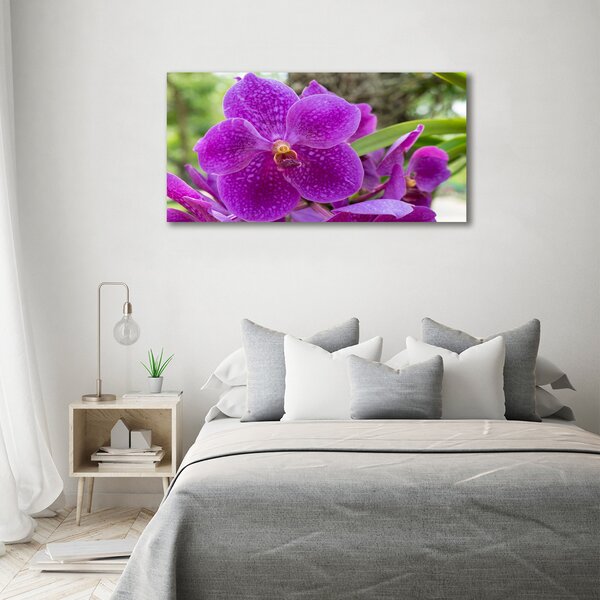 Foto obraz na plátně Orchidej oc-64607986