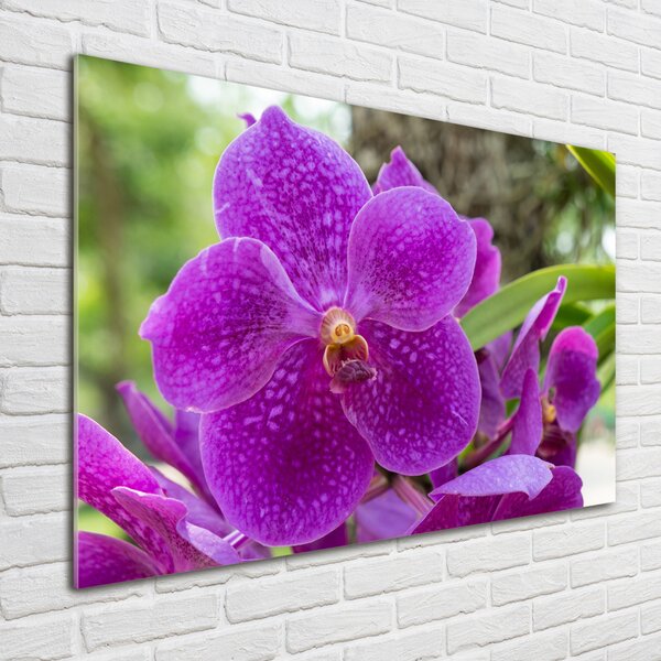 Foto obraz skleněný horizontální Orchidej osh-64607986