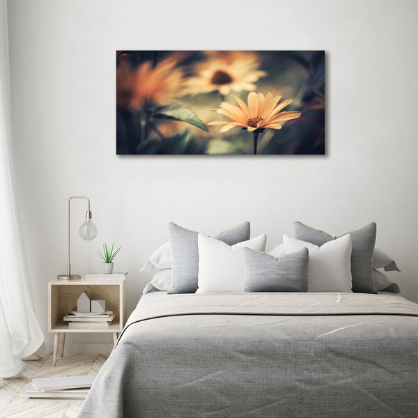 Moderní obraz canvas na rámu Jarní květ oc-64765143