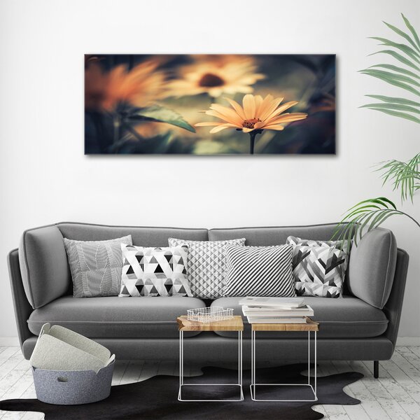 Moderní obraz canvas na rámu Jarní květ oc-64765143