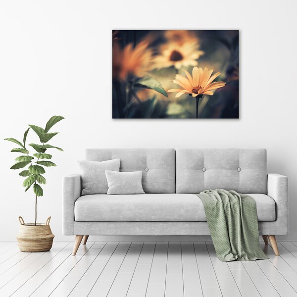 Moderní obraz canvas na rámu Jarní květ oc-64765143