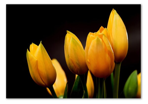 Foto obraz sklo tvrzené Žluté tulipány osh-64836622