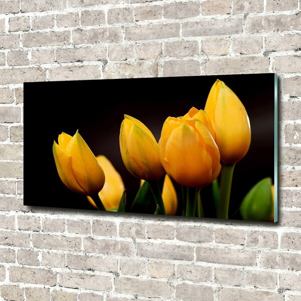 Foto obraz sklo tvrzené Žluté tulipány osh-64836622