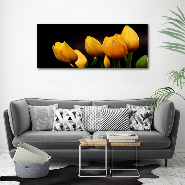 Foto obraz na plátně Žluté tulipány oc-64836622