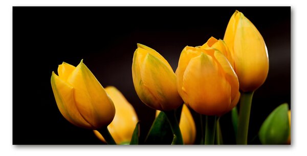 Foto obraz sklo tvrzené Žluté tulipány osh-64836622