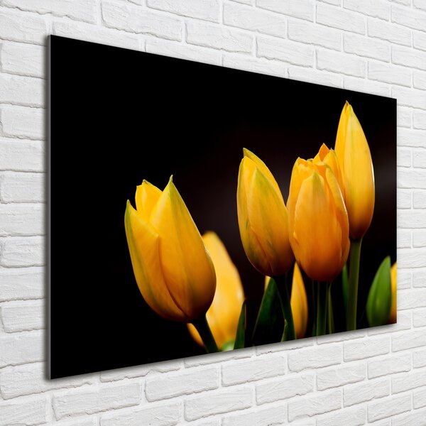 Foto obraz sklo tvrzené Žluté tulipány osh-64836622