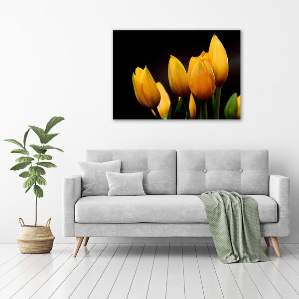 Foto obraz na plátně Žluté tulipány oc-64836622