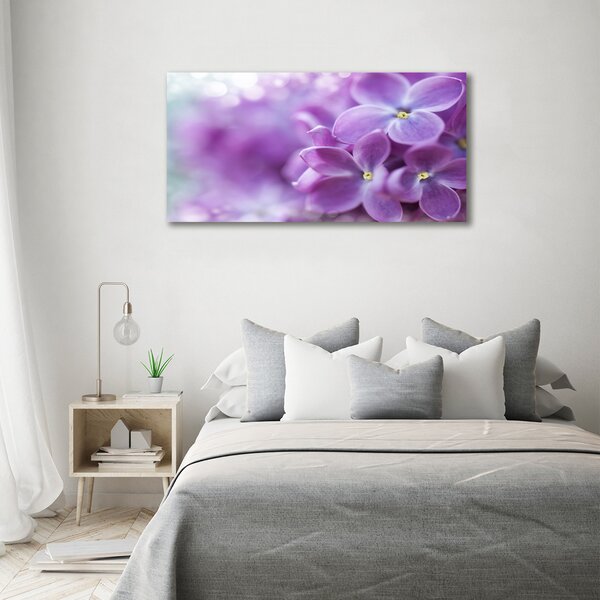 Foto obraz canvas Květ bzu oc-64853789