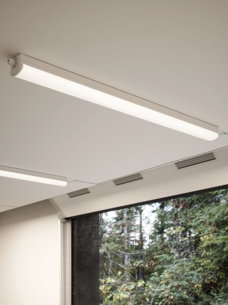 Nordlux Stropní svítidlo Oakland 63, IP65