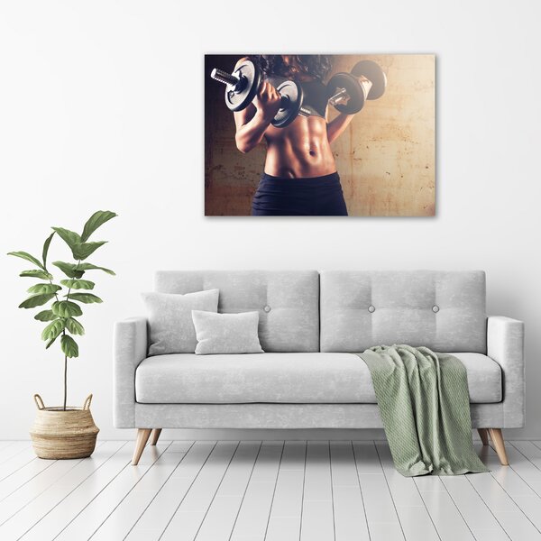 Foto obraz canvas Stavba svalů oc-65860174