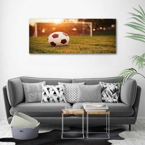 Foto obraz canvas Míč na hřišti oc-66115658
