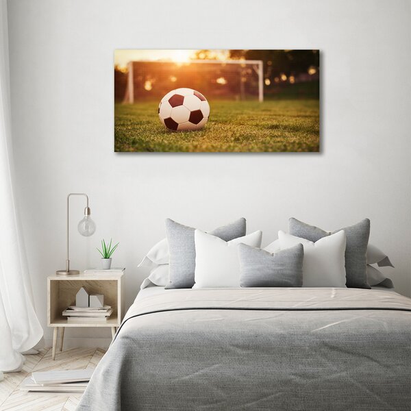 Foto obraz canvas Míč na hřišti oc-66115658