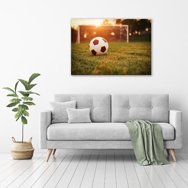 Foto obraz canvas Míč na hřišti oc-66115658