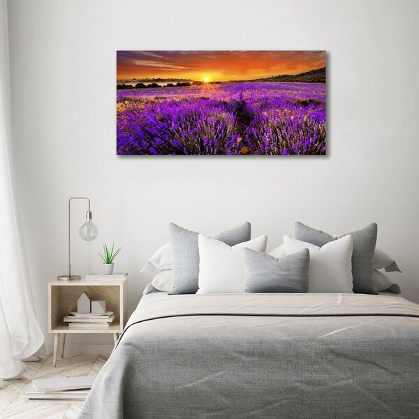 Foto obraz canvas Pole levandule oc-66255723
