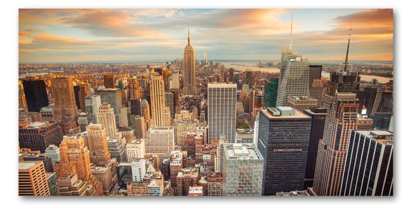 Fotoobraz na skle New York ptačí pohled osh-66358355