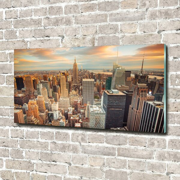 Fotoobraz na skle New York ptačí pohled osh-66358355