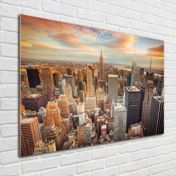 Fotoobraz na skle New York ptačí pohled osh-66358355