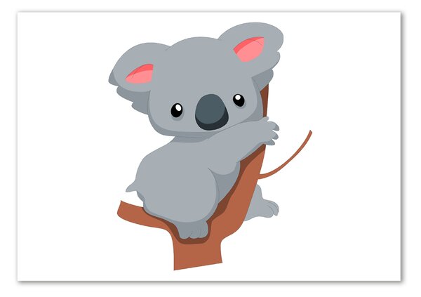 Fotoobraz na skle Koala na stromě osh-66617317
