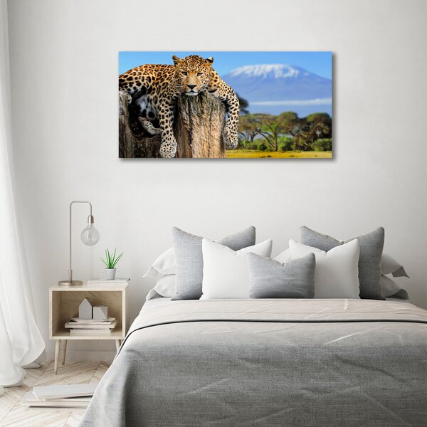 Foto obraz na plátně Leopart na kmeni oc-66888484