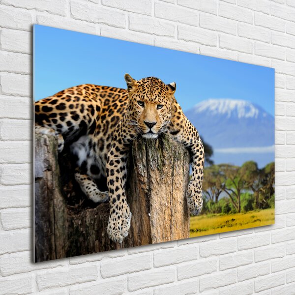 Fotoobraz na skle Leopart na kmeni osh-66888484