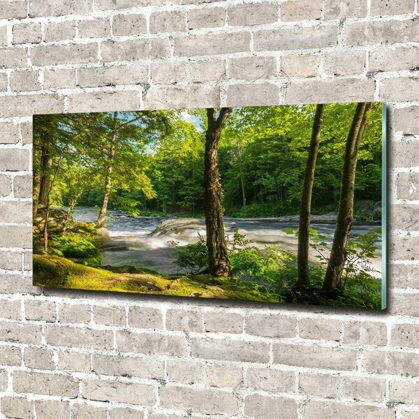 Foto obraz skleněný horizontální Řeka v lese osh-66915556