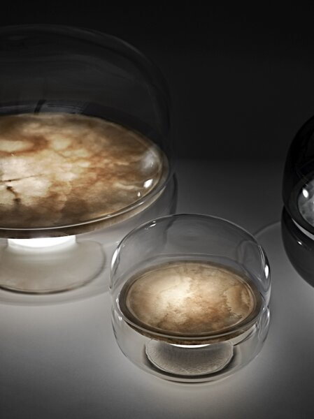 Designová stolní lampa Brokis Macaron S, PC1038 Barva skla: Transparentní číré sklo, Základna: Dub evropský - bíle mořený (CSFB1575), Disk: BROKISGLASS - kouřově šedá mat (CSOP1577)