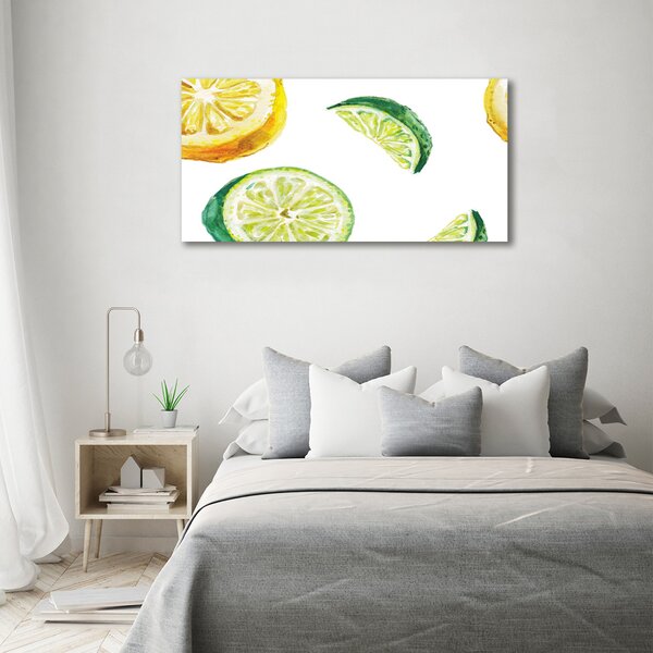 Foto obraz na plátně Citron a limetka oc-67543489