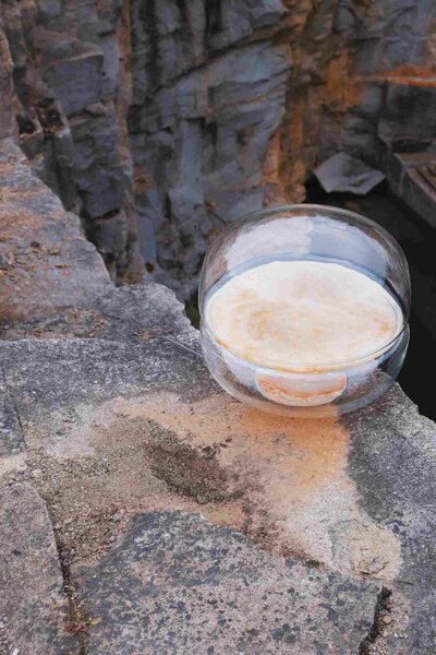 Designová stolní lampa Brokis Macaron L, PC1040 Barva skla: Šedá kouřová - transparentní sklo, Základna: Dub evropský - bíle mořený (CSFB1575), Disk: BROKISGLASS - kouřově šedá mat (CSOP1577)