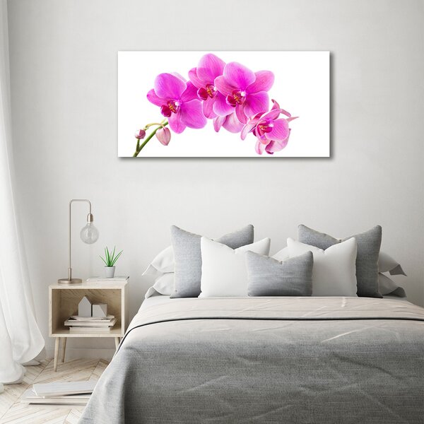 Foto obraz na plátně Růžová orchidej oc-67673367
