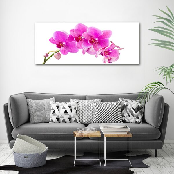 Foto obraz na plátně Růžová orchidej oc-67673367