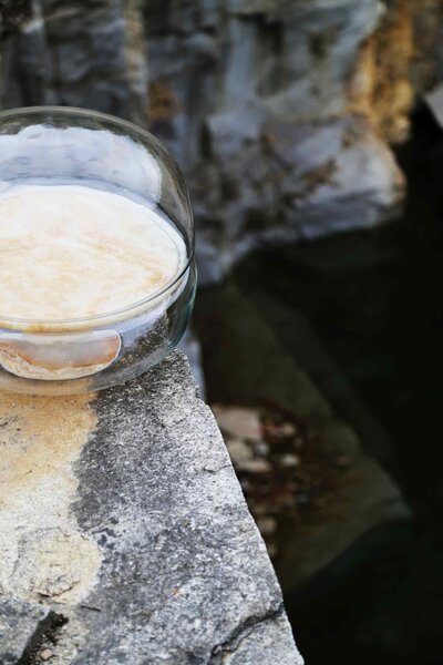 Designová stolní lampa Brokis Macaron L, PC1040 Barva skla: Šedá kouřová - transparentní sklo, Základna: Dub evropský - bíle mořený (CSFB1575), Disk: BROKISGLASS - kouřově šedá mat (CSOP1577)