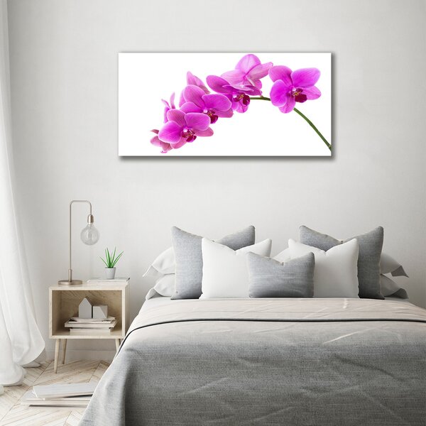 Foto obraz na plátně Růžová orchidej oc-67691978