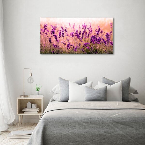 Foto-obraz canvas do obýváku Levandule oc-67946318