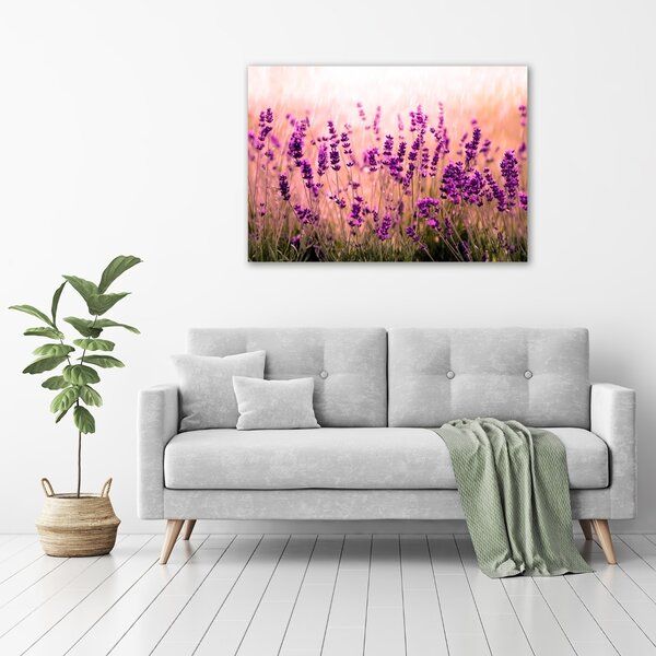 Foto-obraz canvas do obýváku Levandule oc-67946318
