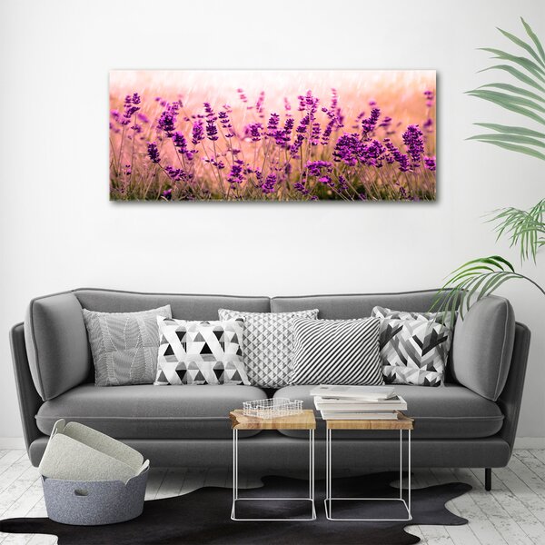Foto-obraz canvas do obýváku Levandule oc-67946318