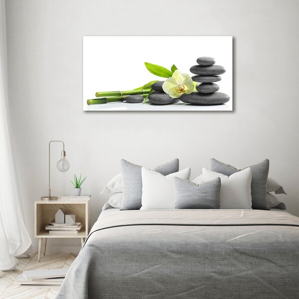 Foto obraz na plátně Orchidej oc-68592259