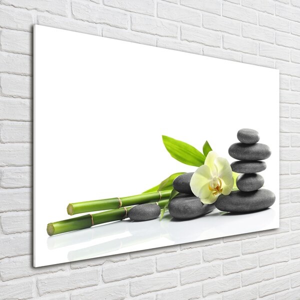 Foto obraz sklo tvrzené Orchidej osh-68592259